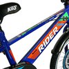 bicicleta-copii-20-carpat-rider-c2007c-cadru-ote_4225_12_1562922693.jpg