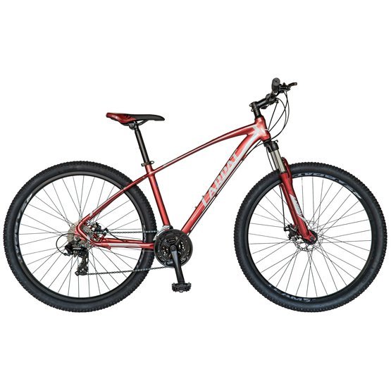 bicicleta-mtbht-29-carpat-invictus-c2957c-cadr_4207_1_1562318919.jpg